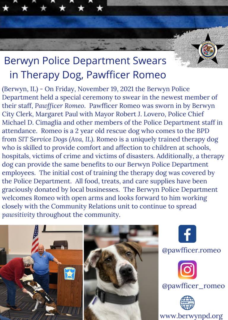 Berwyn Police Department Swears .. ,.,._,,,,_ --- in Therapy Dog, Pawfficer Romeo
(Berwyn, IL) - On Friday, November 19, 2021 the Berwyn Police
Department held a special ceremony to swear in the newest member of
their staff, Pawfficer Romeo. Pawfficer Romeo was sworn in by Berwyn
City Clerk, Margaret Paul with Mayor Robert J. Lovero, Police Chief
Michael D. Cimaglia and other members of the Police Department staff in
attendance. Romeo is a 2 year old rescue dog who comes to the BPD
from SIT Service Dogs (Ava, IL). Romeo is a uniquely trained tl1erapy dog
who is skilled to provide comfort and affection to children at schools,
hospitals, victims of crime and victims of disasters. Additionally, a therapy
dog can provide the same benefits to our Berwyn Police Department
employees. The initial cost of training the therapy dog was covered by
the Police Department. All food, treats, and care supplies have been
graciously donated by local businesses. The Berwyn Police Department
welcomes Romeo with open arms and looks forward to him working
closely with the Community Relations unit to continue to spread
pawsitivity throughout the community.