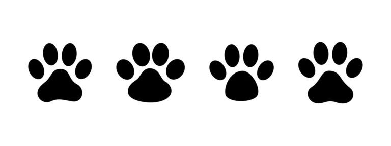 dog paw prints