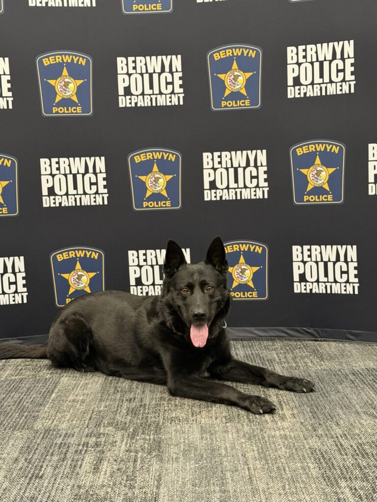 k-9 dog in front of berwyn police department banner