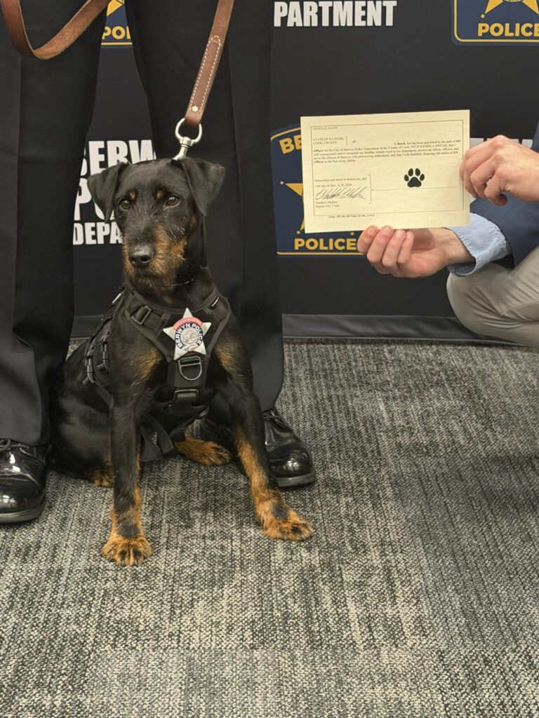 k-9 dog in front of berwyn police department banner with a certificate